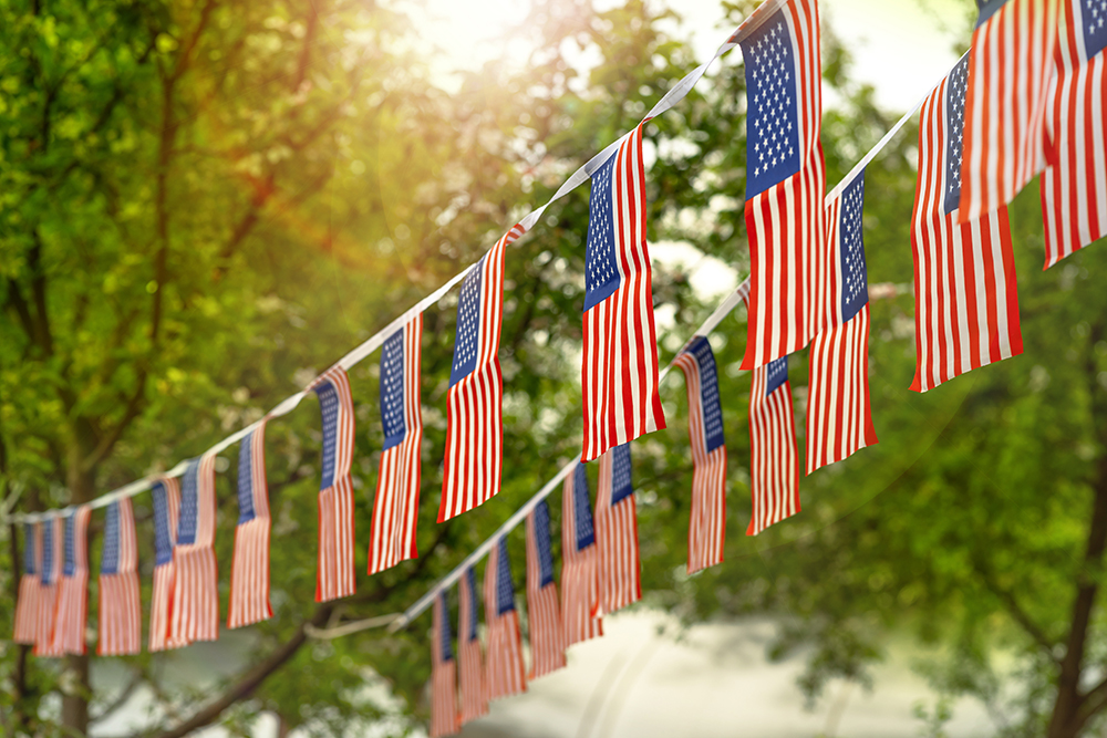 American flags hanging up in a yard