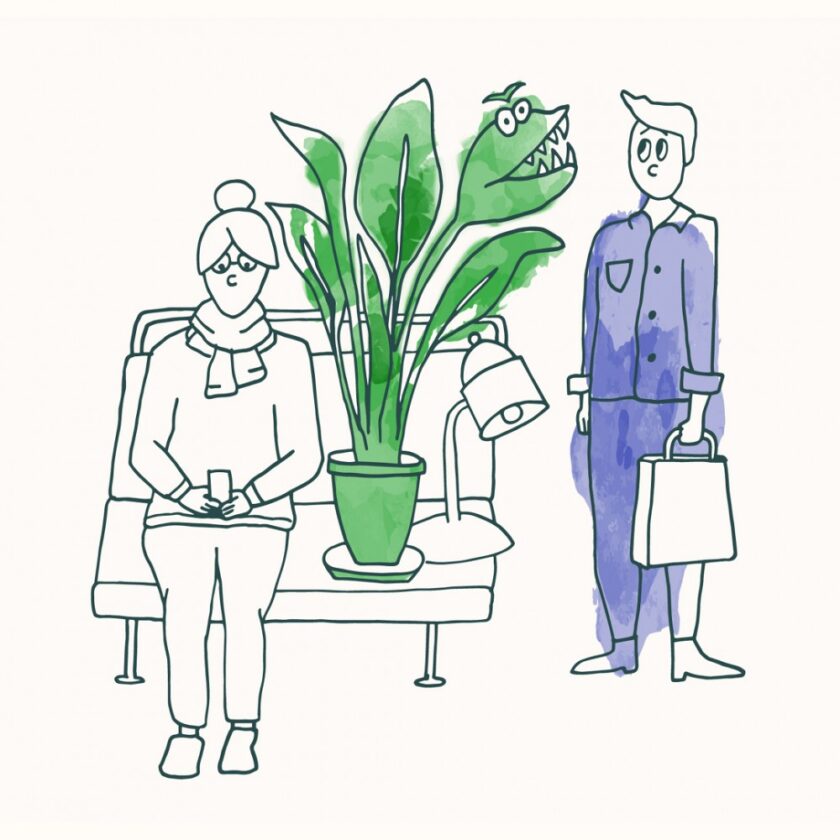 Person with a very large plant on a bus seat and another person wanting to sit down