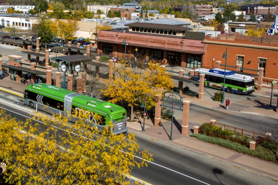 green bus outside of bus station on a fall day