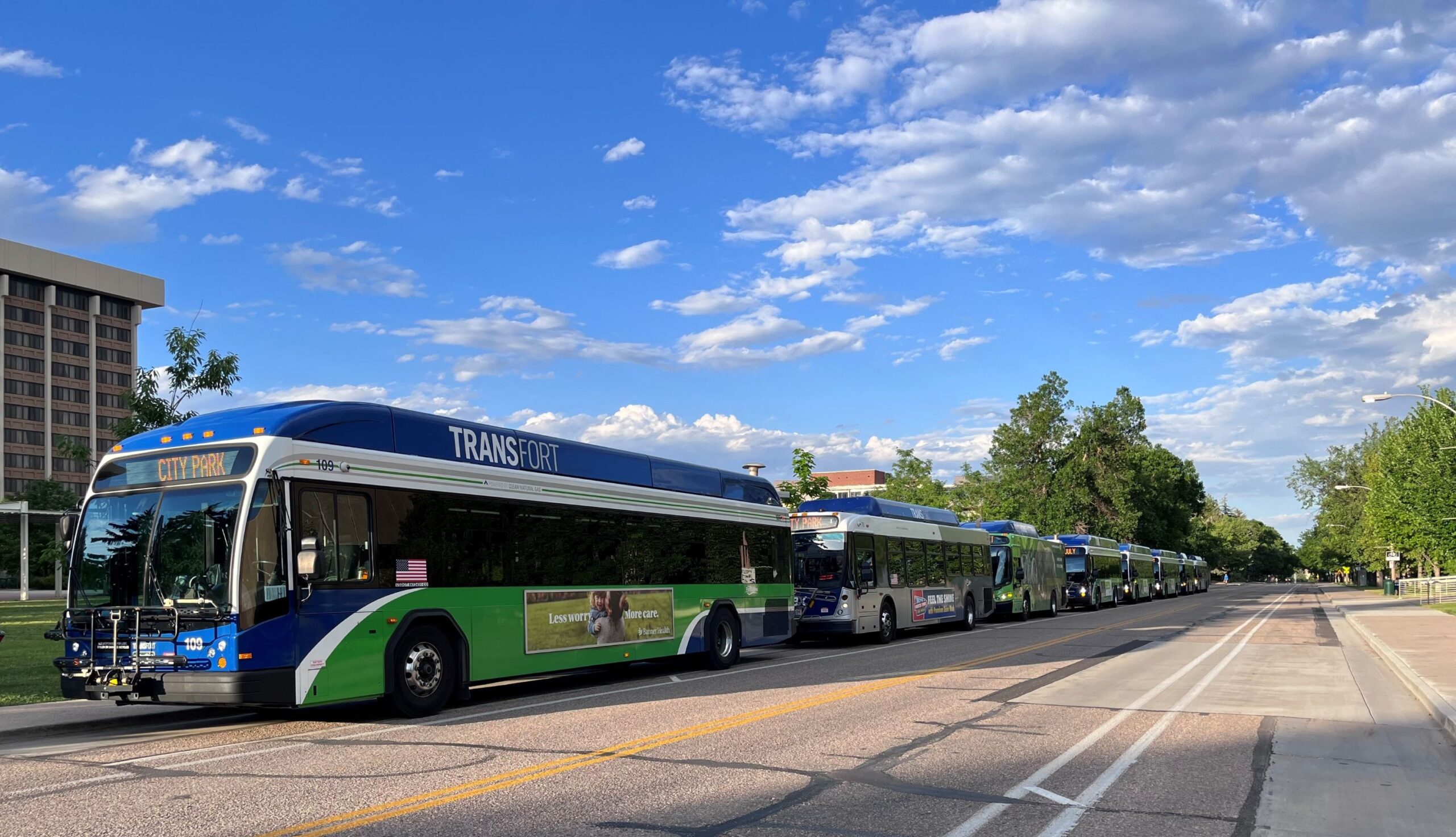 A long row of buses sit idle on the street against clear blue skies.